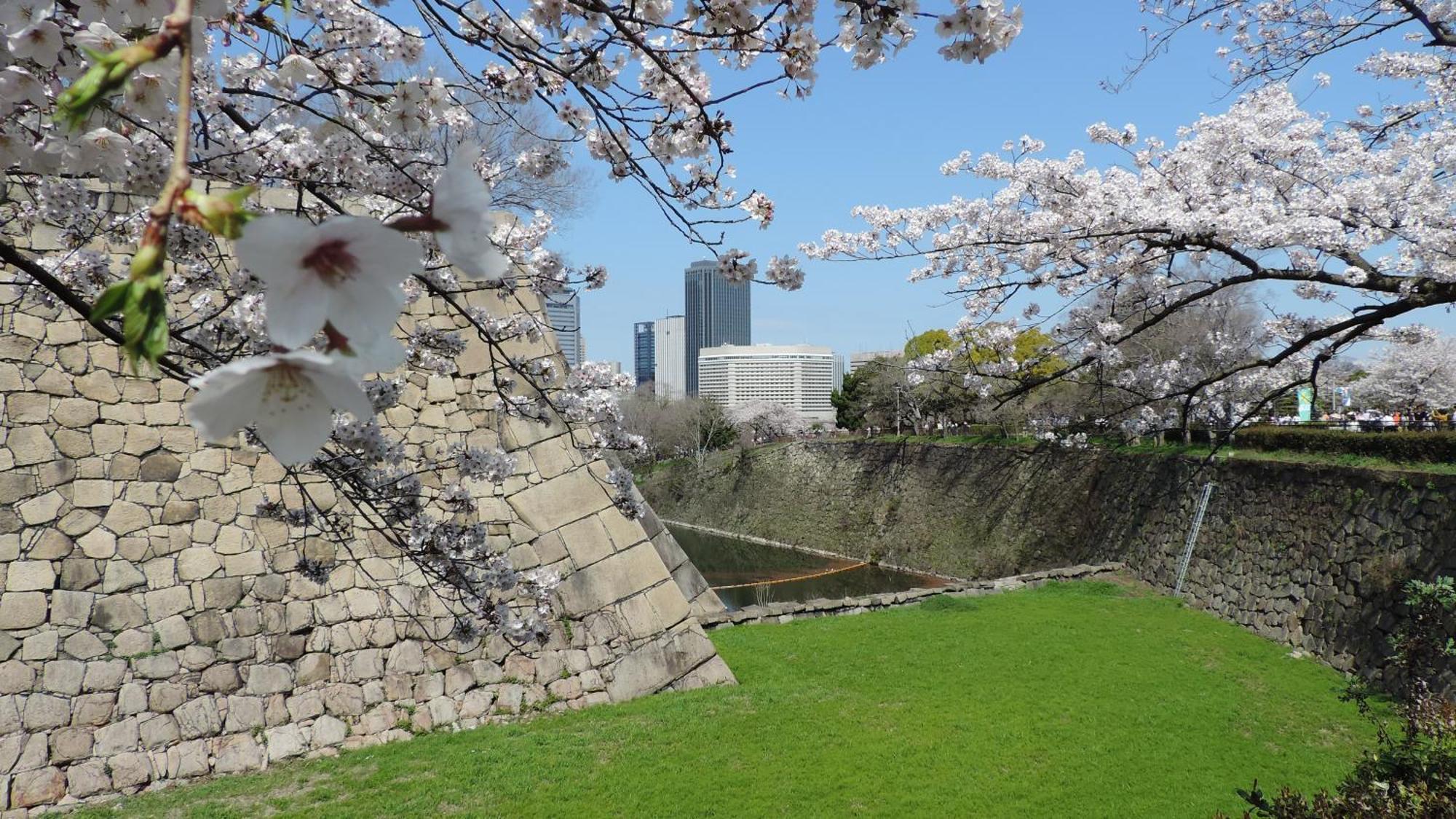 Hotel New Otani Осака Экстерьер фото Sakura at the castle